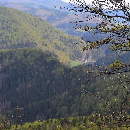 Penzion Thamasy Spišské Tomášovce Eksteriør bilde